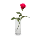 Kytice růžových a bílých růží